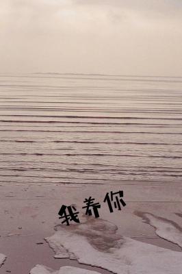 我養(yǎng)你