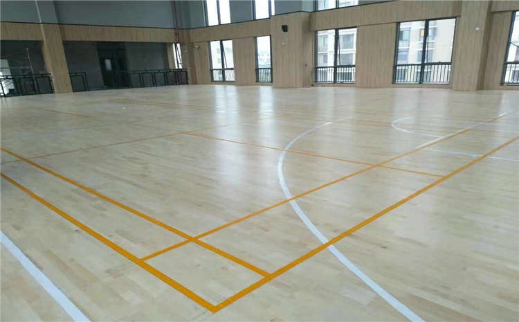 陳青陽陳白朗